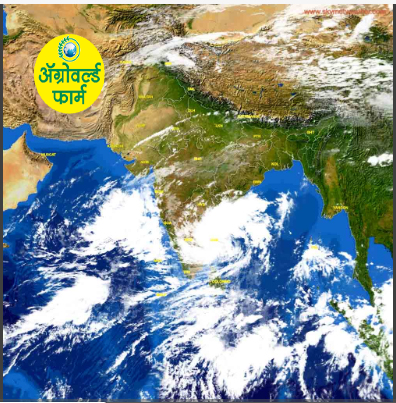 ३१ ऑक्टोबरपर्यंत महाराष्ट्रात पावसाचा मुक्काम