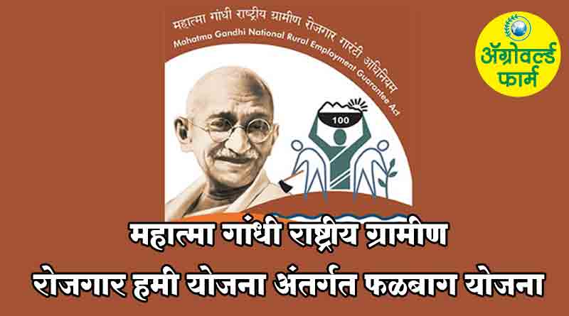 महात्मा गांधी राष्ट्रीय ग्रामीण रोजगार हमी योजना अंतर्गत फळबाग लागवड योजना