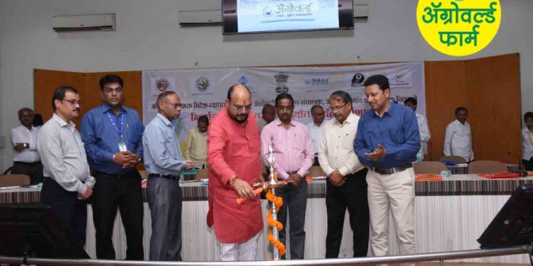 निर्यातीच्या क्षेत्रात शेतकऱ्यांना संधी- पालकमंत्री गुलाबराव पाटील