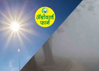 विदर्भात आज आणि उद्याही  गारपीट होण्याचा अंदाज !