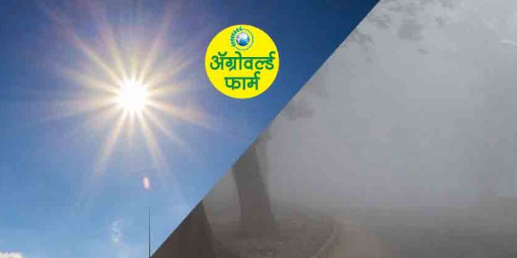 विदर्भात आज आणि उद्याही गारपीट होण्याचा अंदाज !