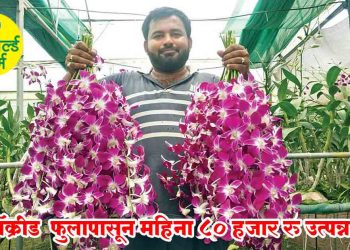 ऑक्रीड फुलापासून महिना ८० हजार रु उत्पन्न