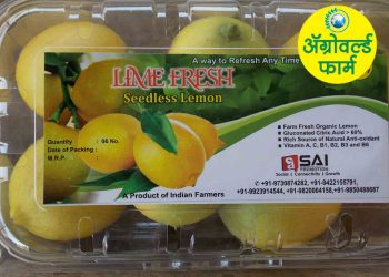 सोशल मिडीयावरील ब्रॅण्डींगच्या माध्यमातून लिंबूला बाजारपेठ