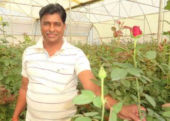 जिद्दीच्या गुलाबाला कष्टाचा सुगंध!