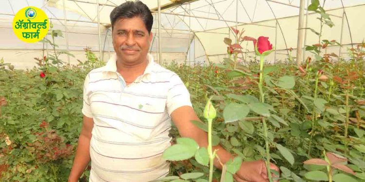 जिद्दीच्या गुलाबाला कष्टाचा सुगंध!