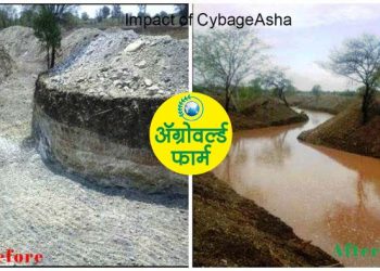 ग्रामविकासातून महिला सबलीकरणाचा वाघलखेडे पॅटर्न!