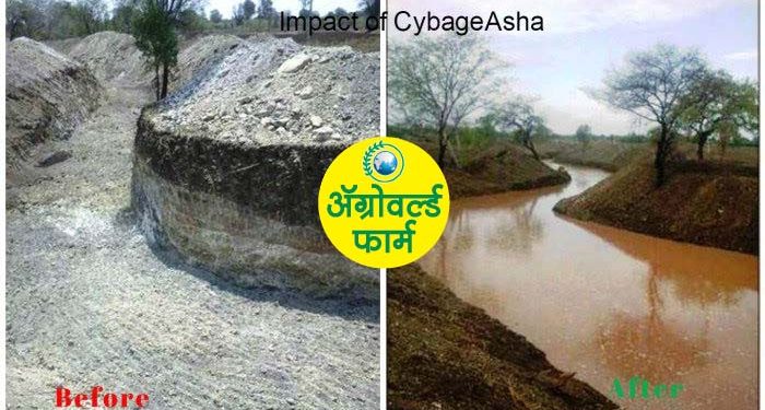 ग्रामविकासातून महिला सबलीकरणाचा वाघलखेडे पॅटर्न!