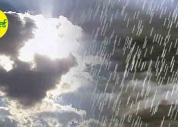 विदर्भात  वादळी  वाऱ्यासह  पावसाचा  इशारा