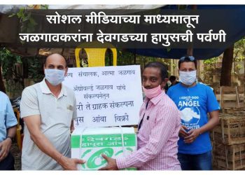 सोशल मीडियाच्या माध्यमातून जळगावकरांना देवगडच्या हापुसची पर्वणी