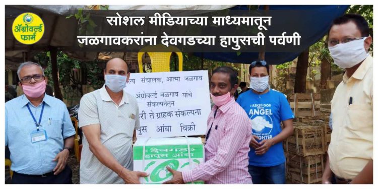 सोशल मीडियाच्या माध्यमातून जळगावकरांना देवगडच्या हापुसची पर्वणी