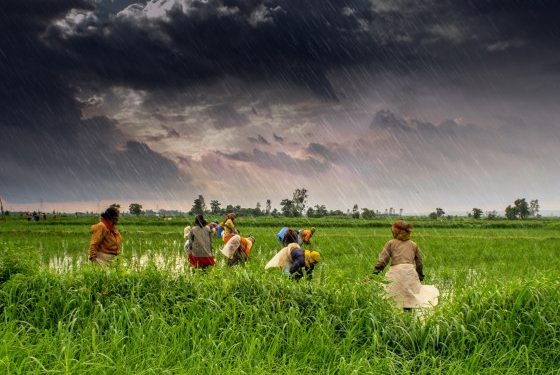 आनंदाची बातमी: मान्सूनचा पाऊस ८ जूनपर्यंत राज्यात दाखल होणार