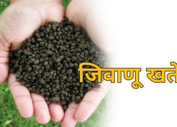 एकात्मिक अन्नद्रव्य व्यवस्थापनासाठी जैविक खत वापर