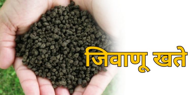 एकात्मिक अन्नद्रव्य व्यवस्थापनासाठी जैविक खत वापर