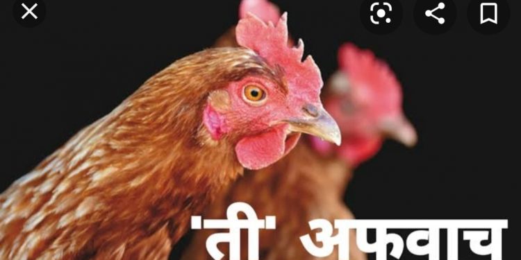 कोंबड्यांमधील ॲपोकॅलिप्टीक व्हायरस एक अफवा -पशुसंवर्धन विभाग