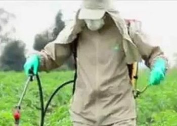 रासायनिक किटकनाशक  फवारणी करताना घ्यावयाची  दक्षता