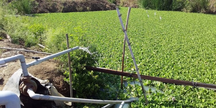 मा. खा. डॉ. उल्हास पाटील यांचे शेतीतील जलव्यवस्थापन…