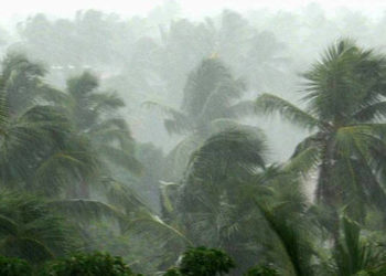 मान्सून अलर्ट – राज्यात मुसळधार पावसाचा इशारा