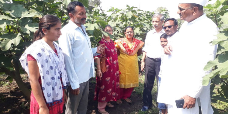 सालगडी ते बागायतदार: पाण्याची किमया