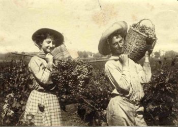 इस्राइल ॲग्रीकल्चर ते प्लॅस्टिकल्चर