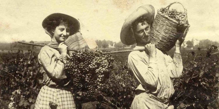 इस्राइल ॲग्रीकल्चर ते प्लॅस्टिकल्चर