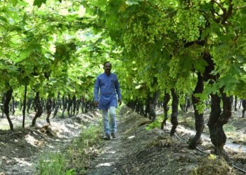 नंदापूरचा कृषी नंदादीप- दत्तात्रय चव्हाण