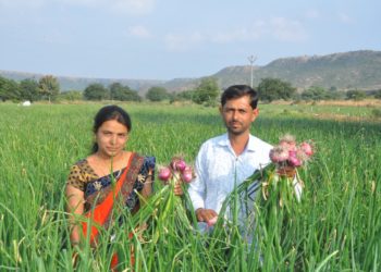 ठिंबकच्या वापरातून वाढवले कांद्याचे उत्पादन