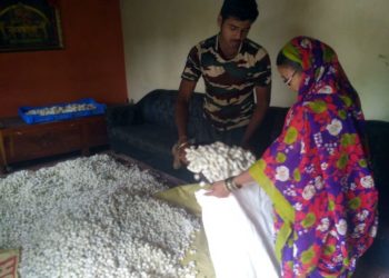 शेतातील अळ्या मारण्यापेक्षा तिला सांभाळून मिळविले लाखात उत्पन्न