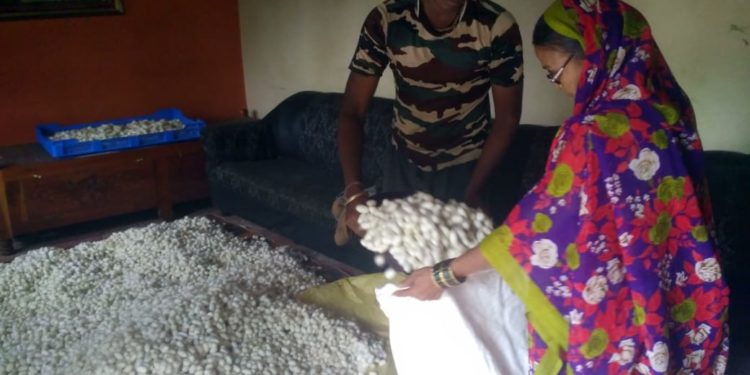 शेतातील अळ्या मारण्यापेक्षा तिला सांभाळून मिळविले लाखात उत्पन्न