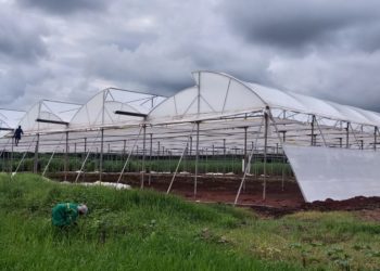 गाव करील ते राव काय करील !