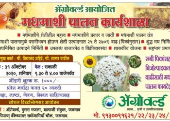 अ‍ॅग्रोवर्ल्डची जळगावात शनिवारी (ता. 31) पुन्हा प्रात्यक्षिकासह मधमाशीपालन कार्यशाळा…!