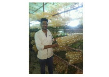 रेशीम उद्योगामूळे मिळाली शेती अर्थकारणाला चालना