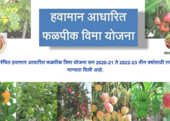 हवामान आधारित फळपीक  विमा योजनेला  सुरुवात