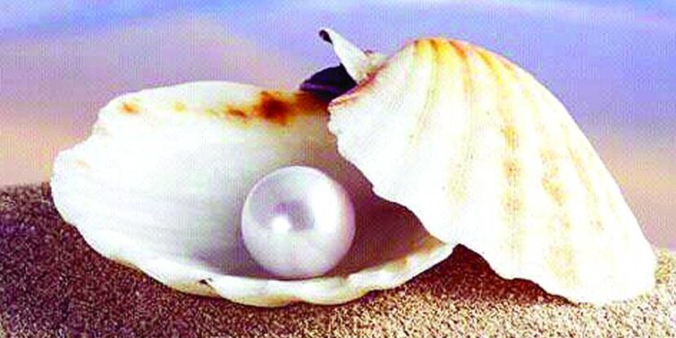 गोड्या पाण्यातील मोत्यांची शेती