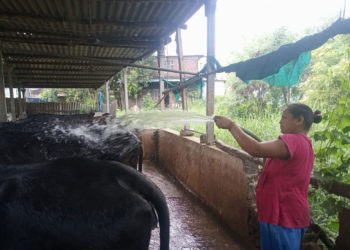 खेड्याकडे चला – गुजरातच्या पंकज कंथारिया यांचा यशस्वी प्रयोग