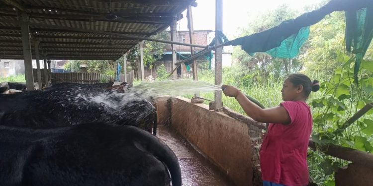 खेड्याकडे चला – गुजरातच्या पंकज कंथारिया यांचा यशस्वी प्रयोग