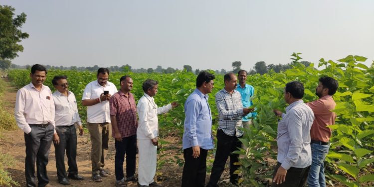 अॅग्रीकल्चर ते सेरीकल्चर वसुंधरा रेशीमगटाचा प्रवास