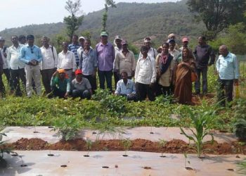 विषमुक्त अन्नधान्याचे गाव- खानू