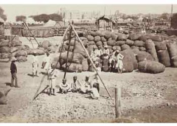 पांढऱ्या सोन्याची खाण