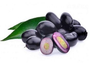 जांभूळ उत्पादनाचा संपन्न वारसा – बाहडोली गाव