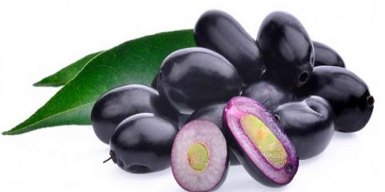 जांभूळ उत्पादनाचा संपन्न वारसा – बाहडोली गाव