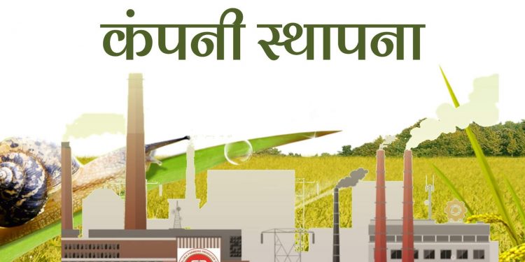 अशी स्थापन करा शेतकरी उत्पादक कंपनी…
