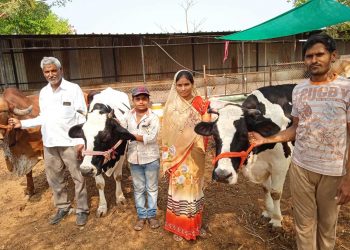 दूध व्यवसायातून महिन्याकाठी एका लाखाचे निव्वळ उत्पन्न