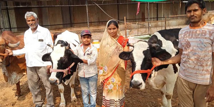 दूध व्यवसायातून महिन्याकाठी एका लाखाचे निव्वळ उत्पन्न