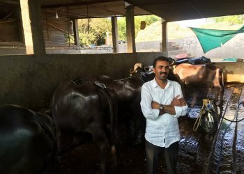 गिरणा काठच्या पद्मालय ब्रॅण्डची पवन भरारी