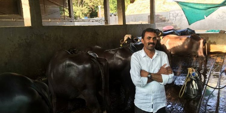 गिरणा काठच्या पद्मालय ब्रॅण्डची पवन भरारी