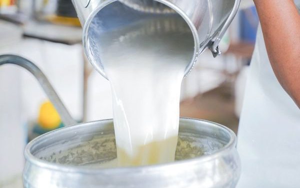 दुधाची विक्री आजपासून १०० रूपये प्रती लीटर दराने होणार…