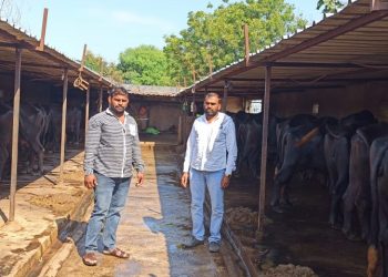 कुस्तीपटू उद्धव कदमची दुग्धप्रक्रियातून भरारी