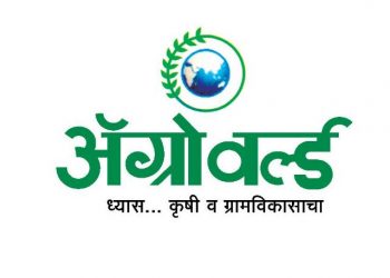 तंत्रज्ञानात अग्रेसर…‘टीम अ‍ॅग्रोवर्ल्ड’