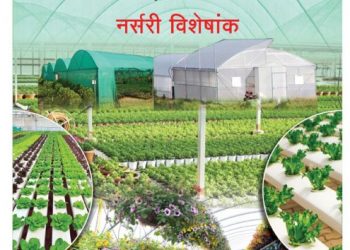 शेतकऱ्यांच्या जीवनात आर्थिक परिवर्तन करणारा शेतीपुरक व्यवसाय – नर्सरी
