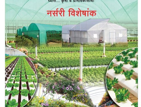 शेतकऱ्यांच्या जीवनात आर्थिक परिवर्तन करणारा शेतीपुरक व्यवसाय – नर्सरी